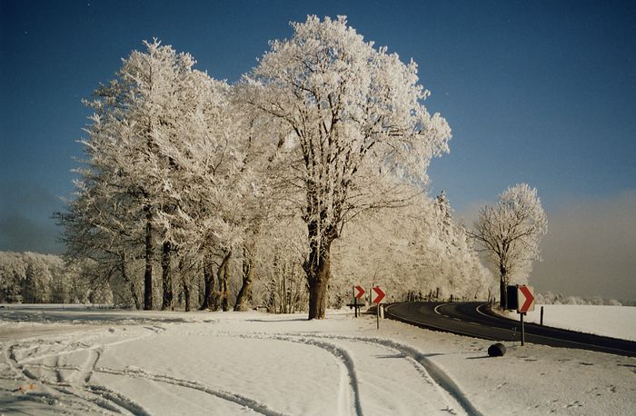 Harz