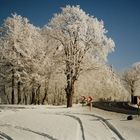 Harz