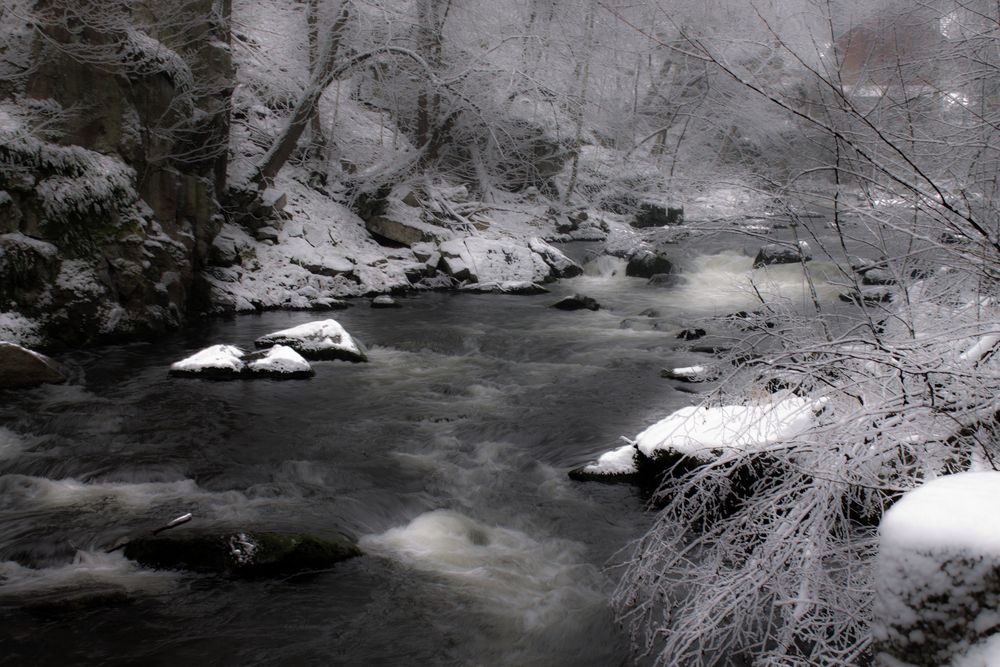 Harz am Bodetal