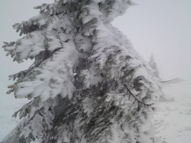 Harz auf´m Brocken