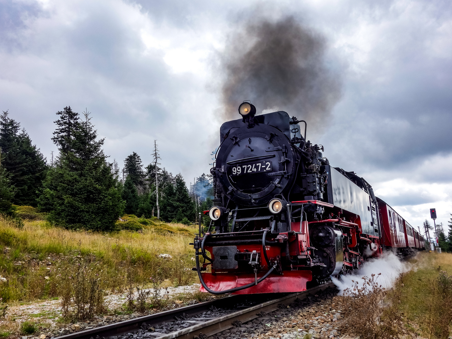 Harz