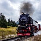 Harz