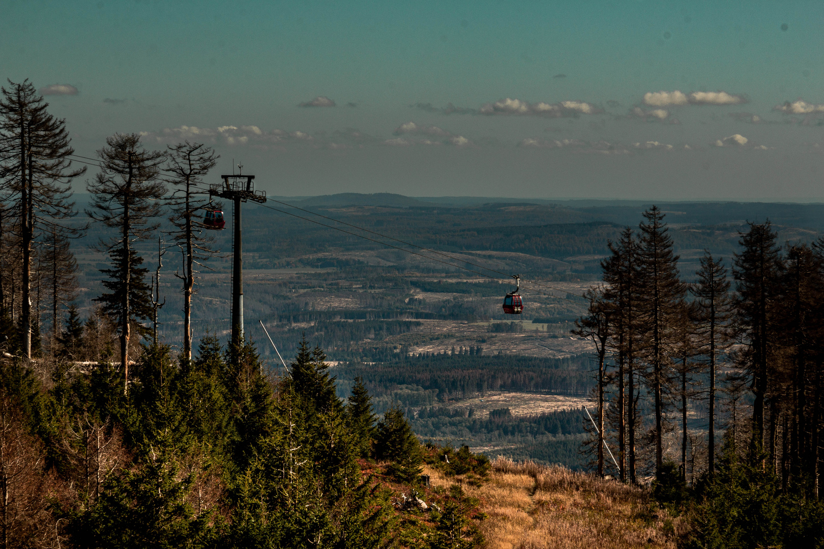 Harz