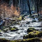 Harz Bach zum Ilsewasserfall