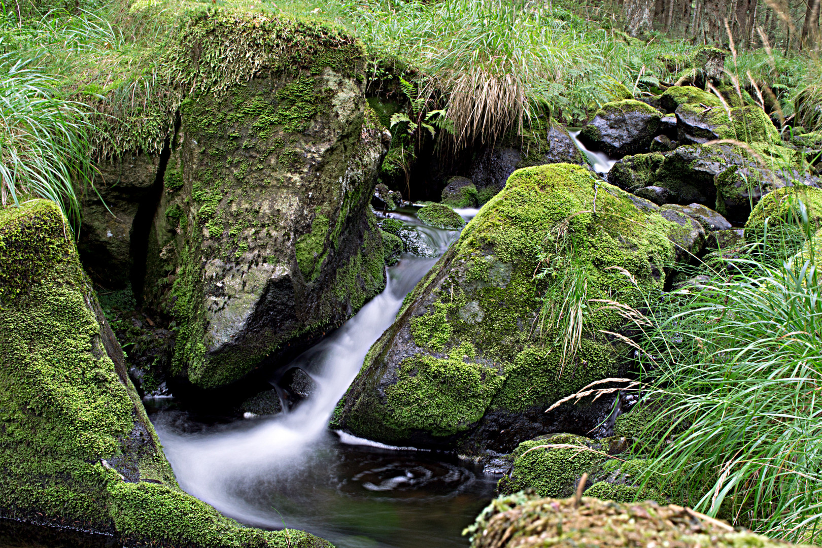 Harz Bachlauf