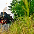 Harz Bahn aus Gernrode