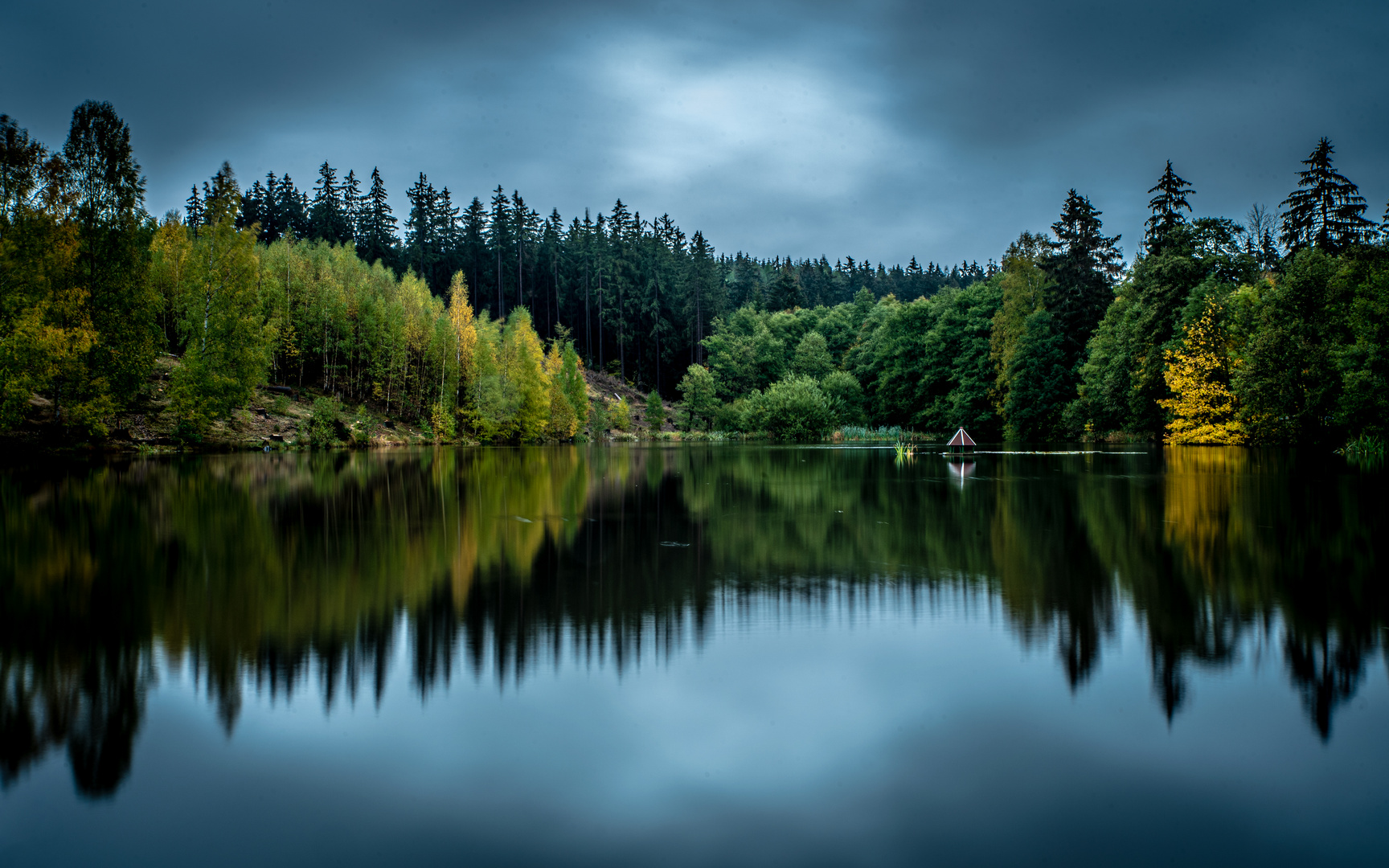 Harz Baumlandschaft am Teich im Herbst am frühen Morgen