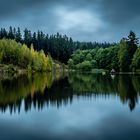 Harz Baumlandschaft am Teich im Herbst am frühen Morgen