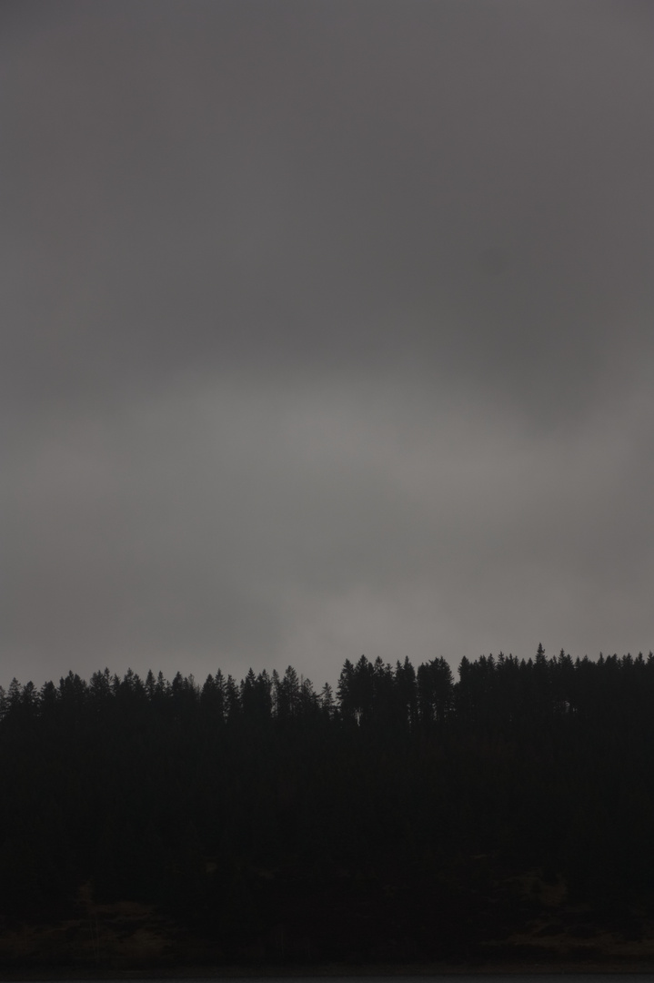 Harz bei Regen