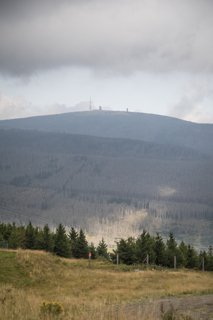 Harz - Blick vom Wurmberg zum Brocken