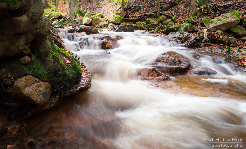 Harz / Bodetal 2014