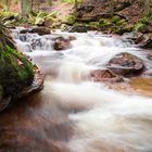 Harz / Bodetal 2014