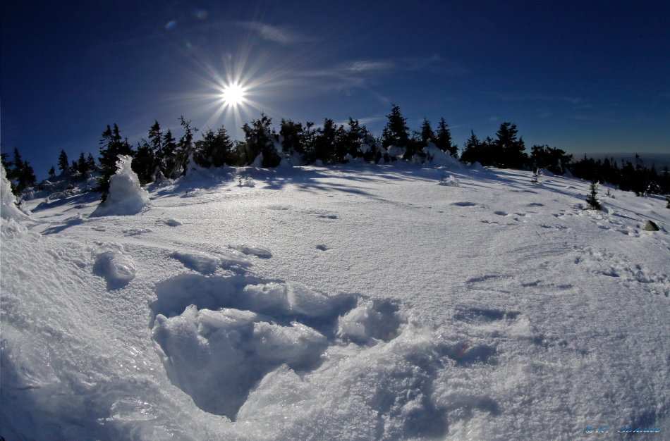 Harz - Brocken