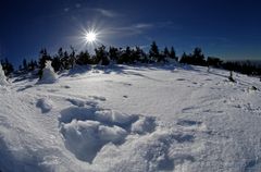 Harz - Brocken