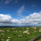 Harz Brocken 