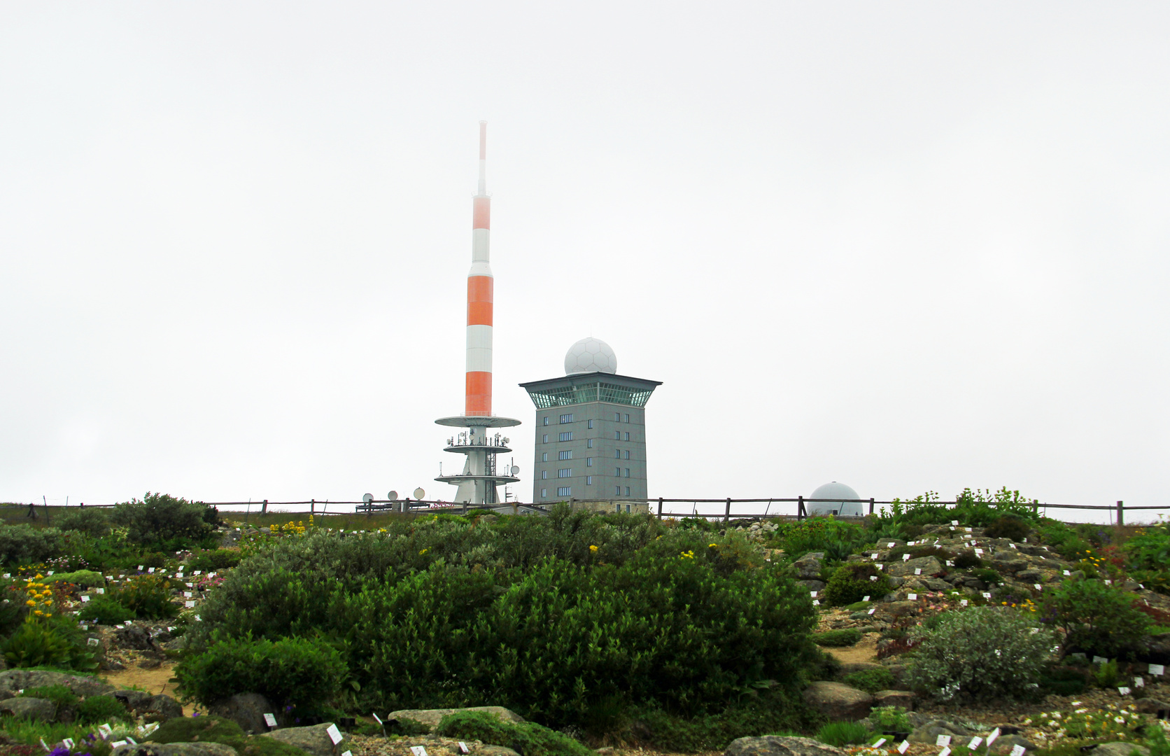 Harz, Brocken: Der Brockengarten