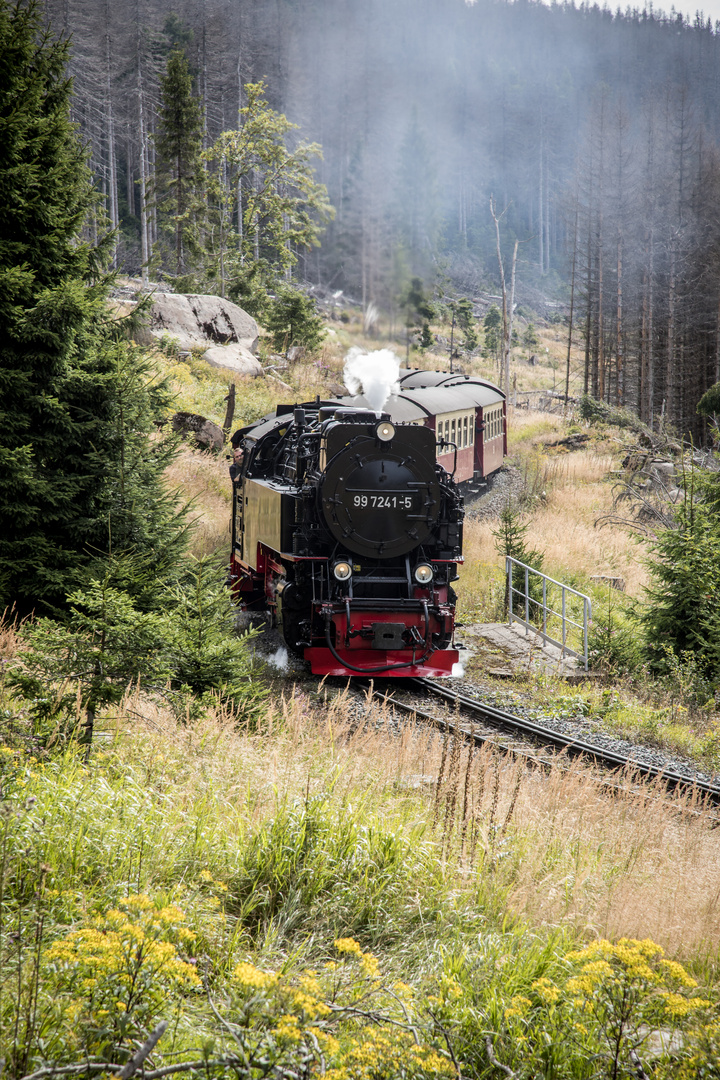 Harz - Brockenbahn