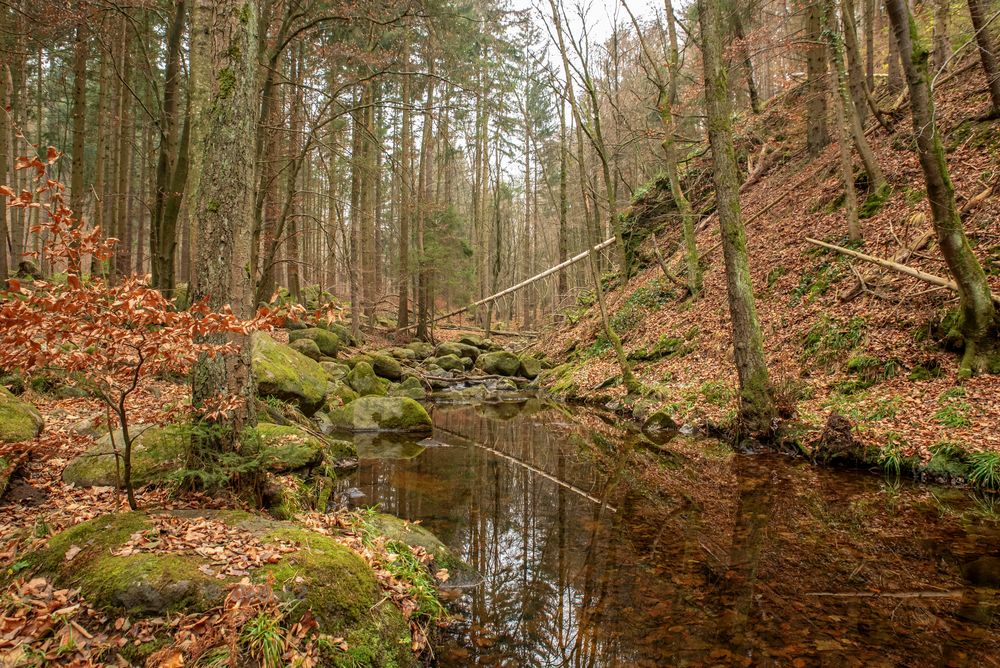 Harz