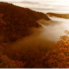 Harz