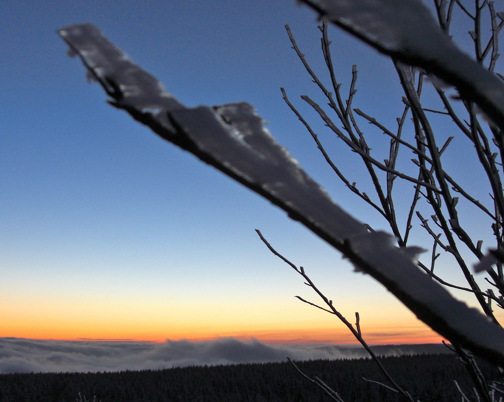 Harz