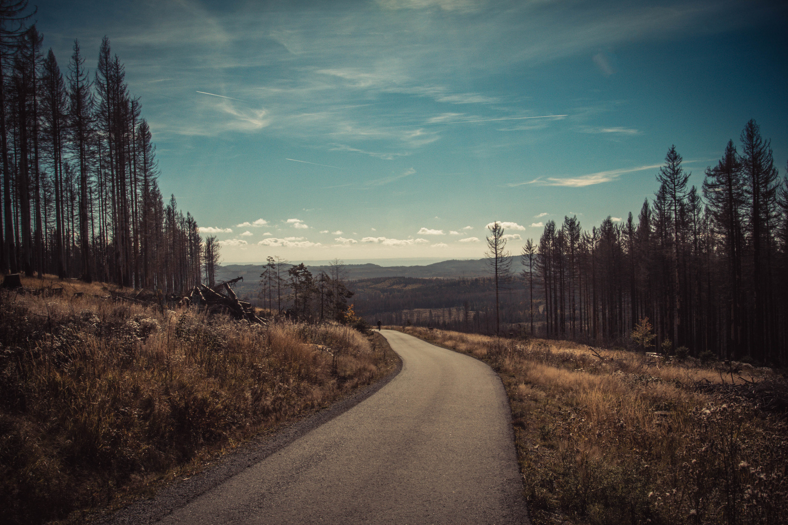 Harz