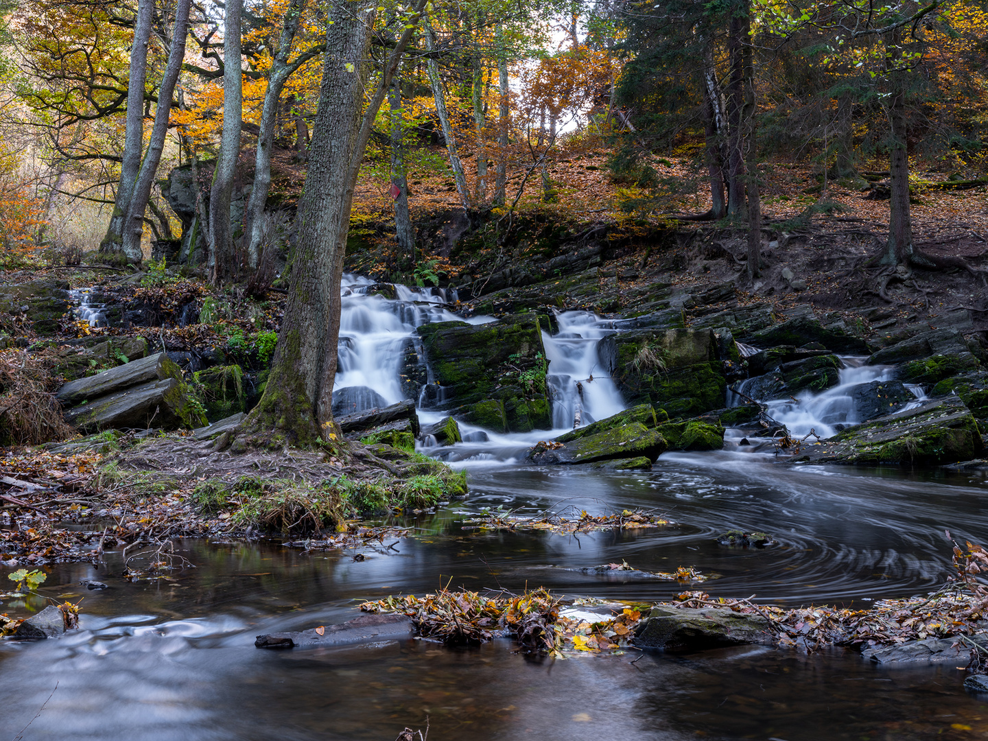 Harz - Die Selkefälle