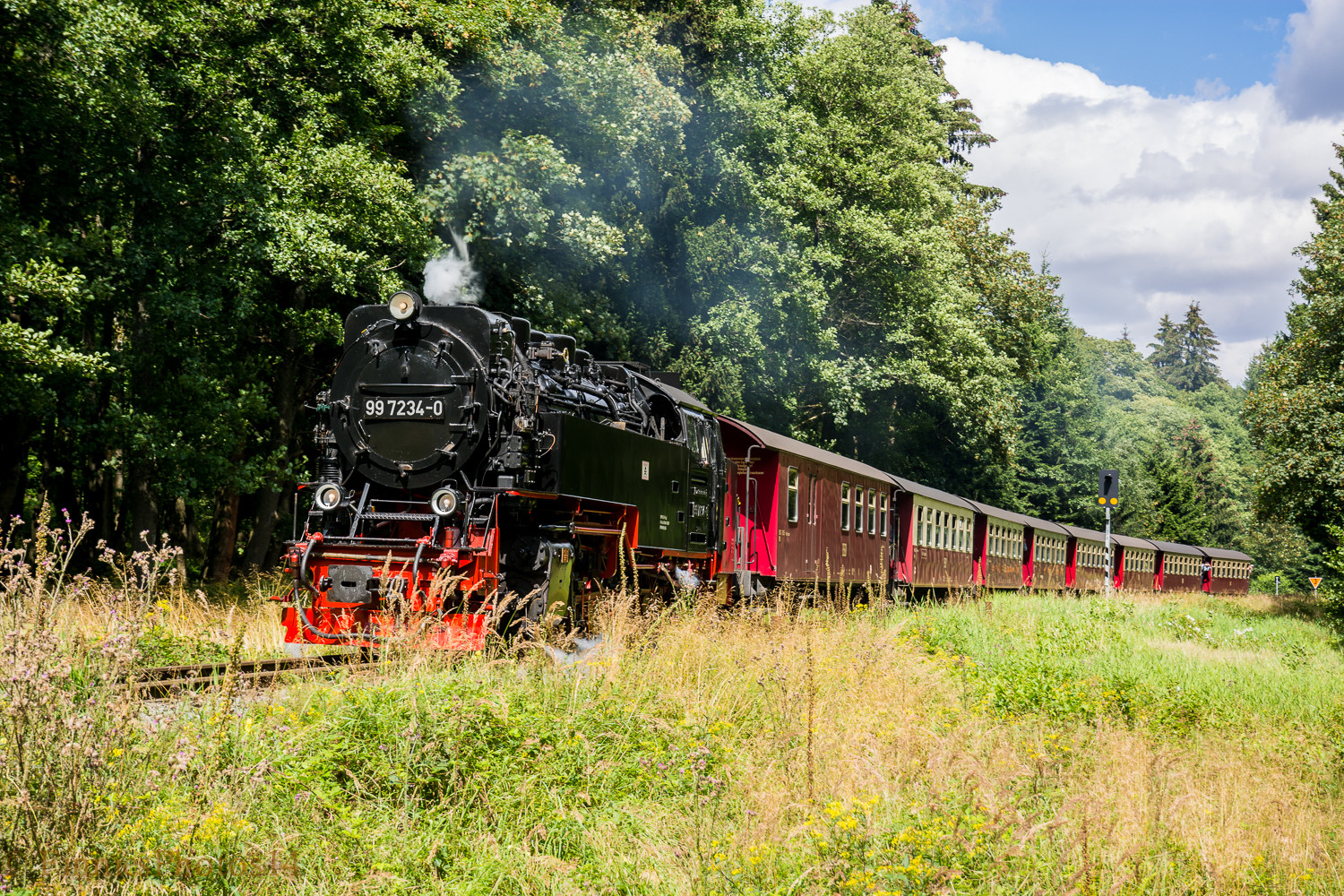 Harz durch das Gras Reloaded