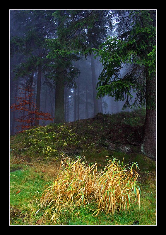 Harz Emotionen