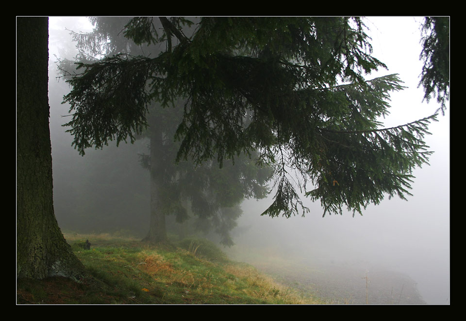 Harz Emotionen III