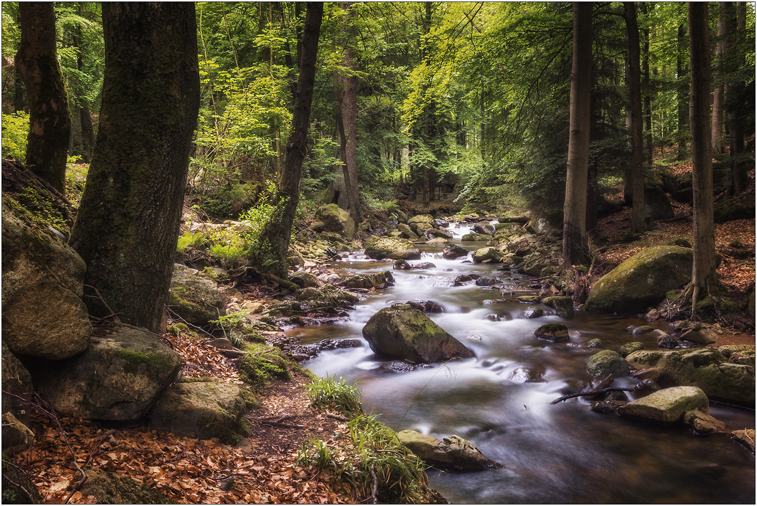 Harz Erfrischung