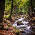 Harz Erfrischung