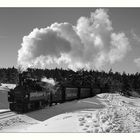 Harz-Express