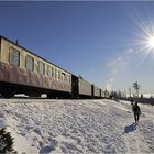 Harz-Express II