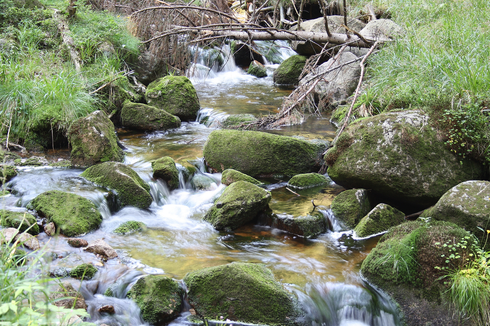 Harz