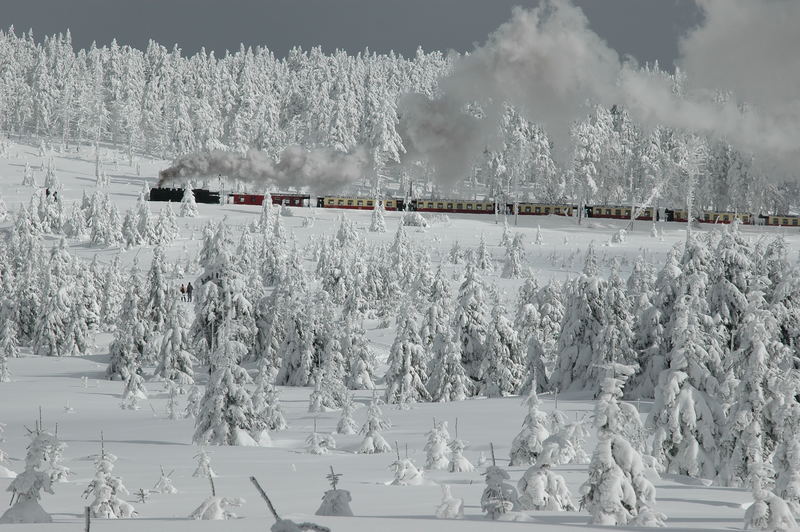 Harz