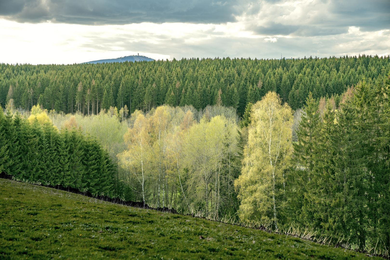 Harz