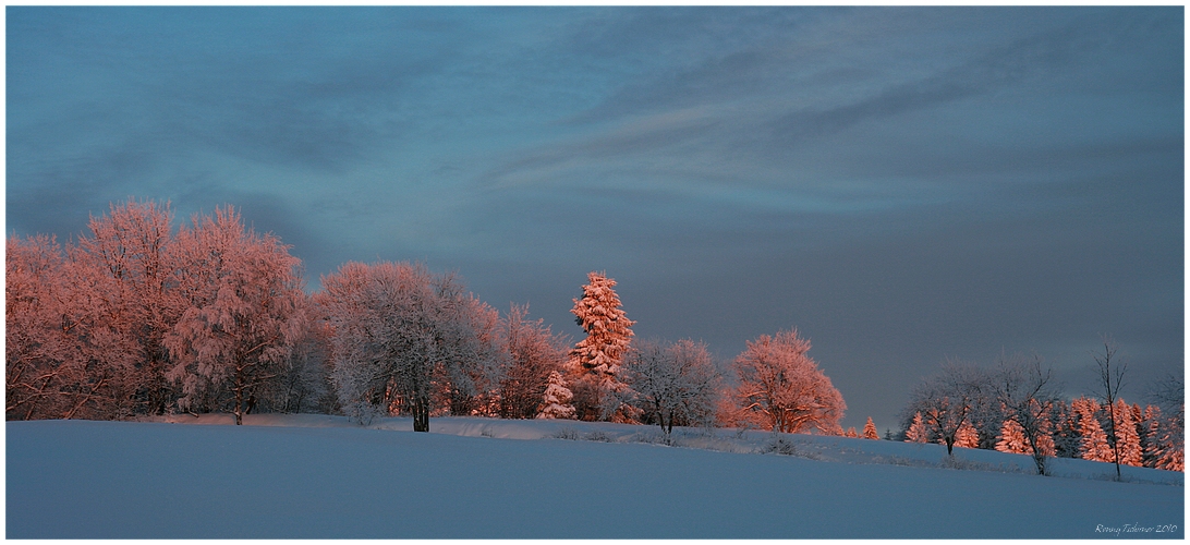 Harz Farben