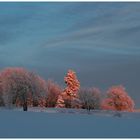 Harz Farben