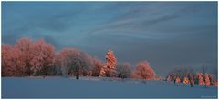 Harz Farben