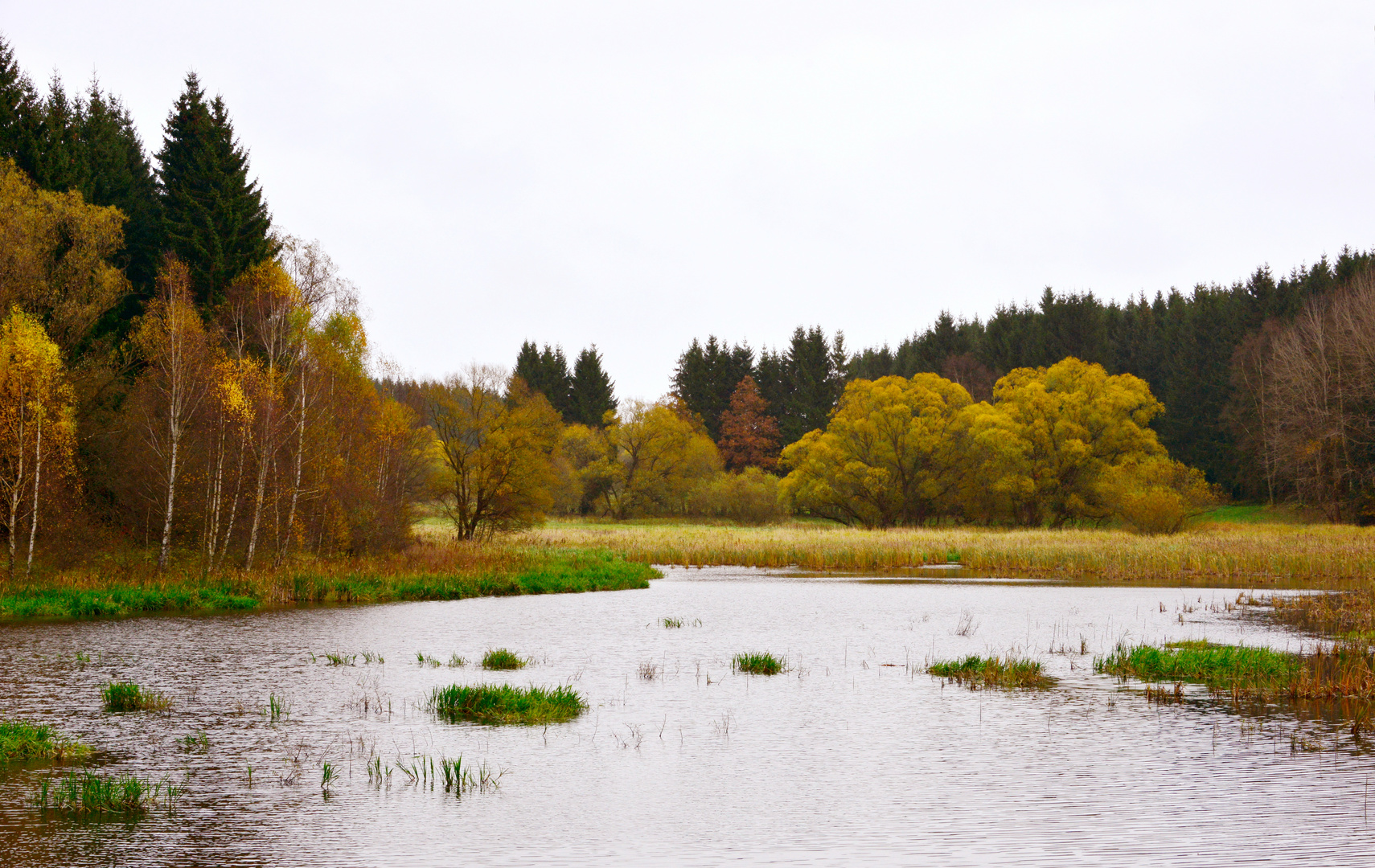 Harz-Herbst-Impression