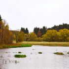 Harz-Herbst-Impression