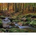Harz " Herbstimpressionen im ILsetal..."