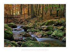 Harz " Herbstimpressionen im ILsetal..."