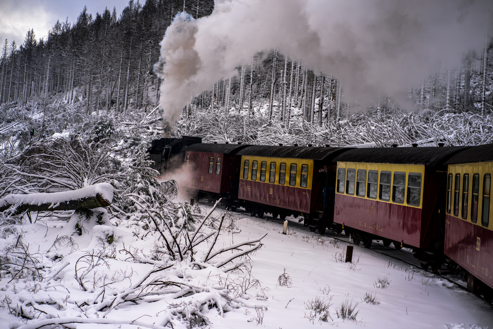 Harz (HSB) - auf dem Weg zum Brocken