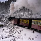 Harz (HSB) - auf dem Weg zum Brocken