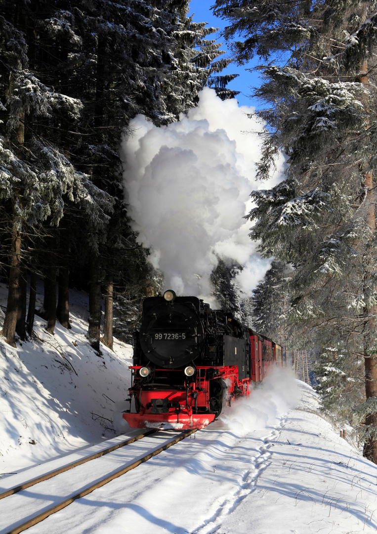 Harz (HSB) im Winter geht immer (II)