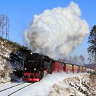 Harz (HSB) im Winter geht immer (III)