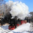 Harz (HSB) im Winter geht immer (IV) 