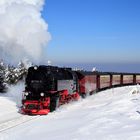 Harz (HSB) im Winter geht immer (IX) ...