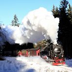 Harz (HSB) im Winter geht immer (V)